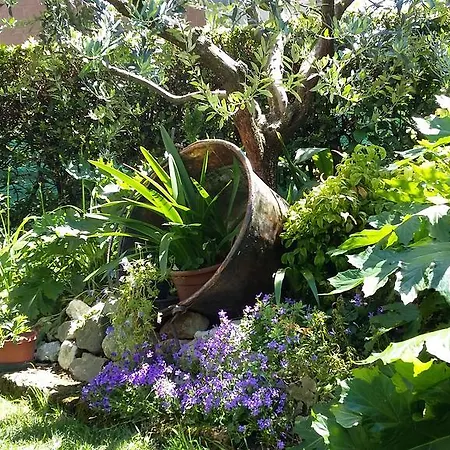 Il Paiolo Bed & Breakfast